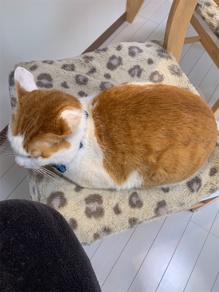 f:id:iwamityu:20220222180559j:image