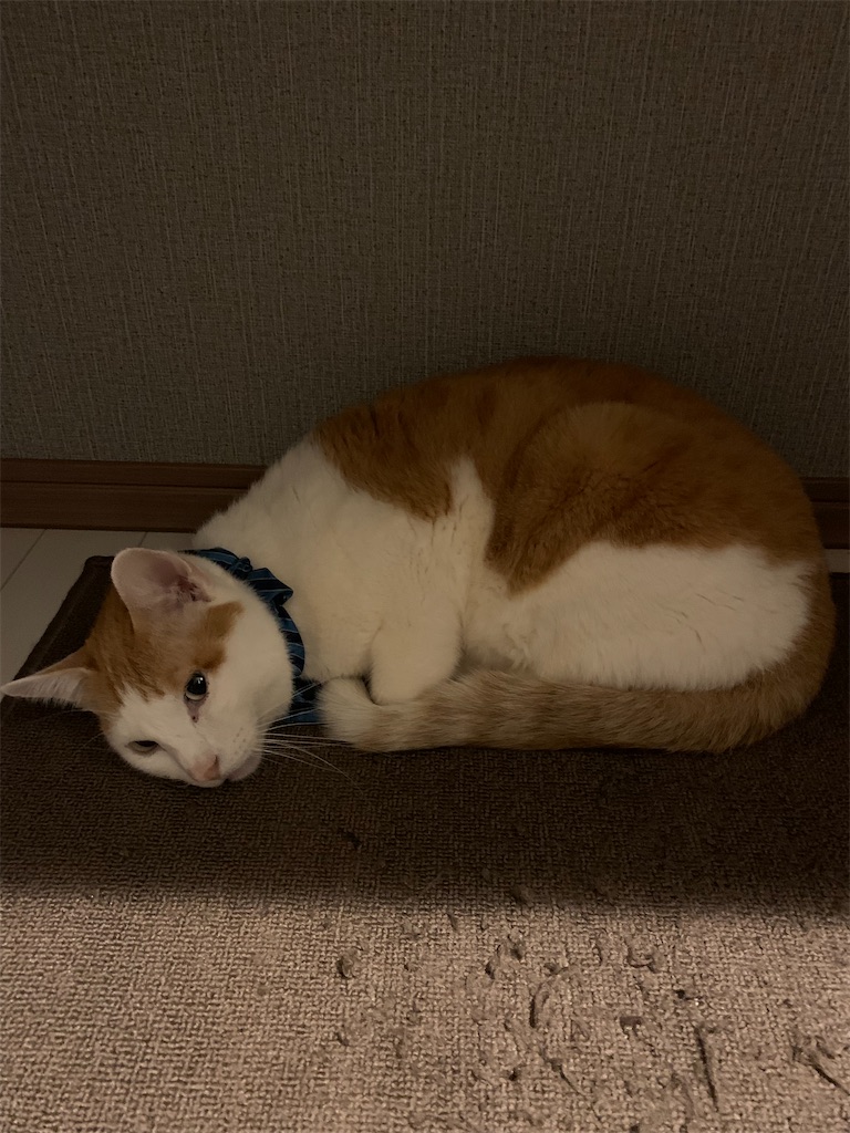 f:id:iwamityu:20220223192054j:image f:id:iwamityu:20220223192054j:image