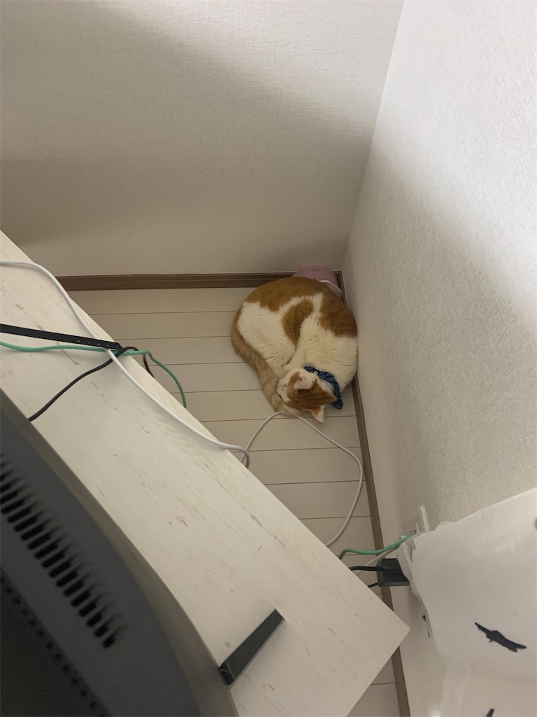 f:id:iwamityu:20220225193129j:image