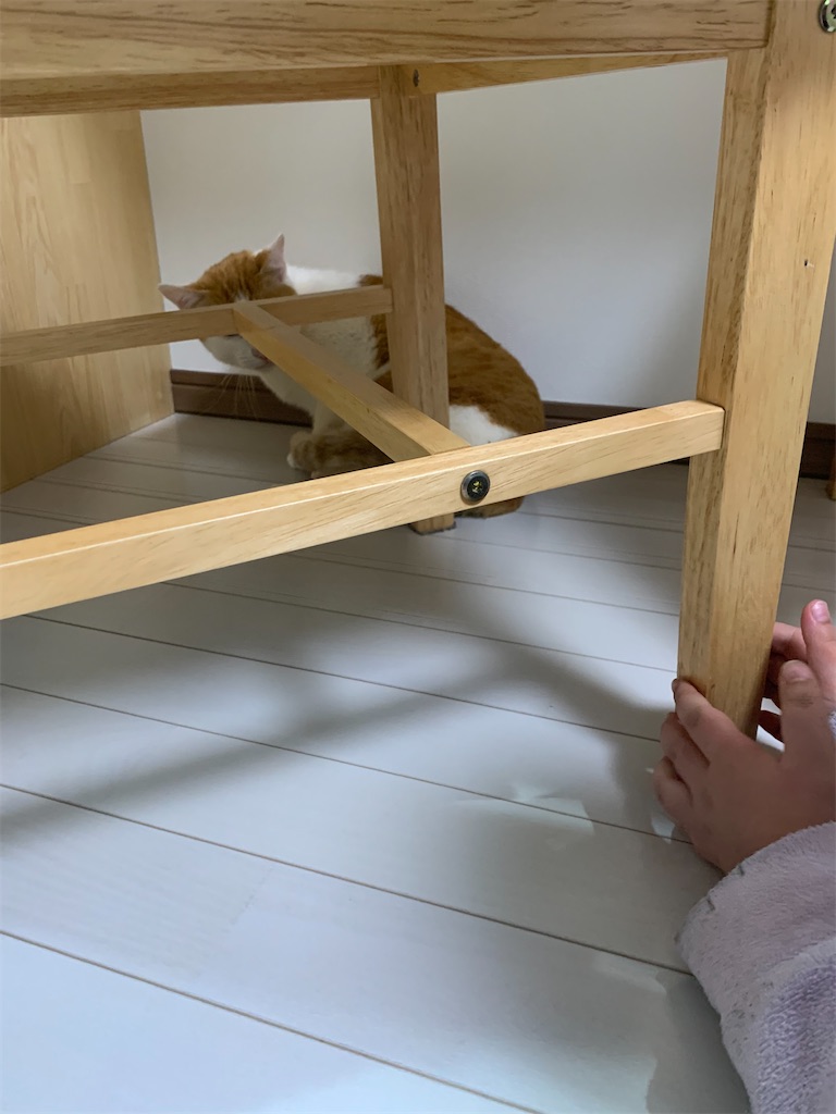 f:id:iwamityu:20220227171151j:image