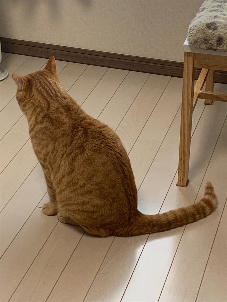 f:id:iwamityu:20220228101418j:image