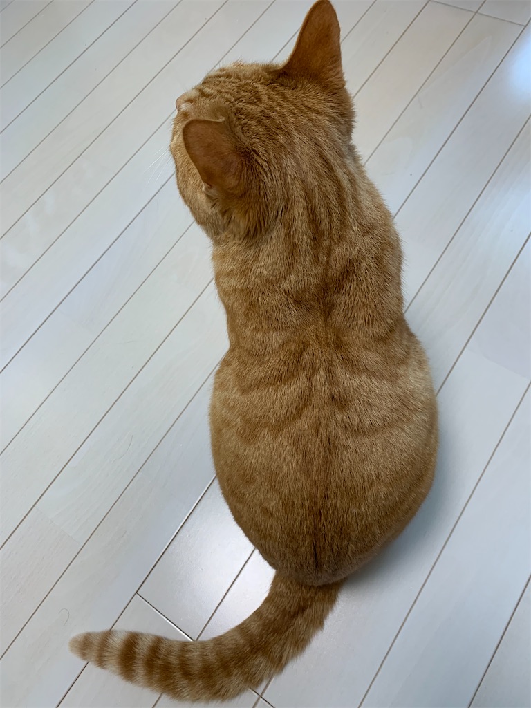 f:id:iwamityu:20220228101420j:image