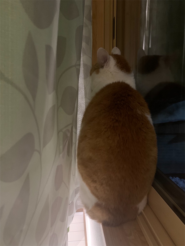 f:id:iwamityu:20220228203931j:image