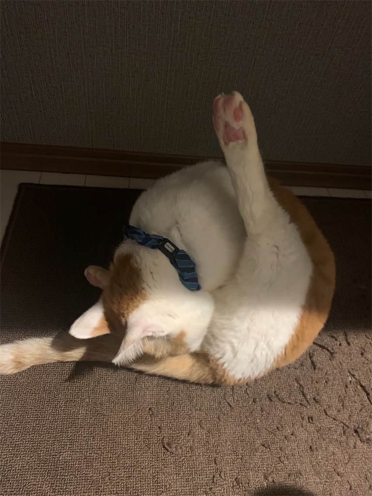 f:id:iwamityu:20220309195957j:image