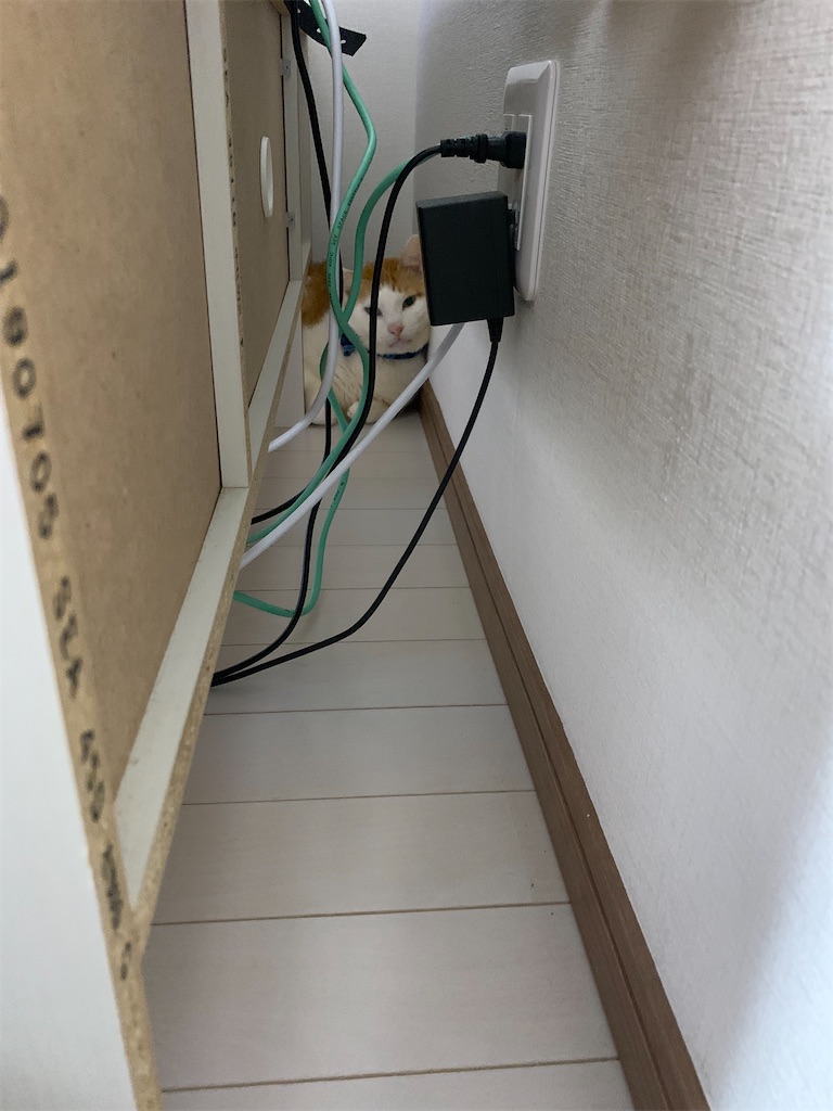 f:id:iwamityu:20220315211138j:image