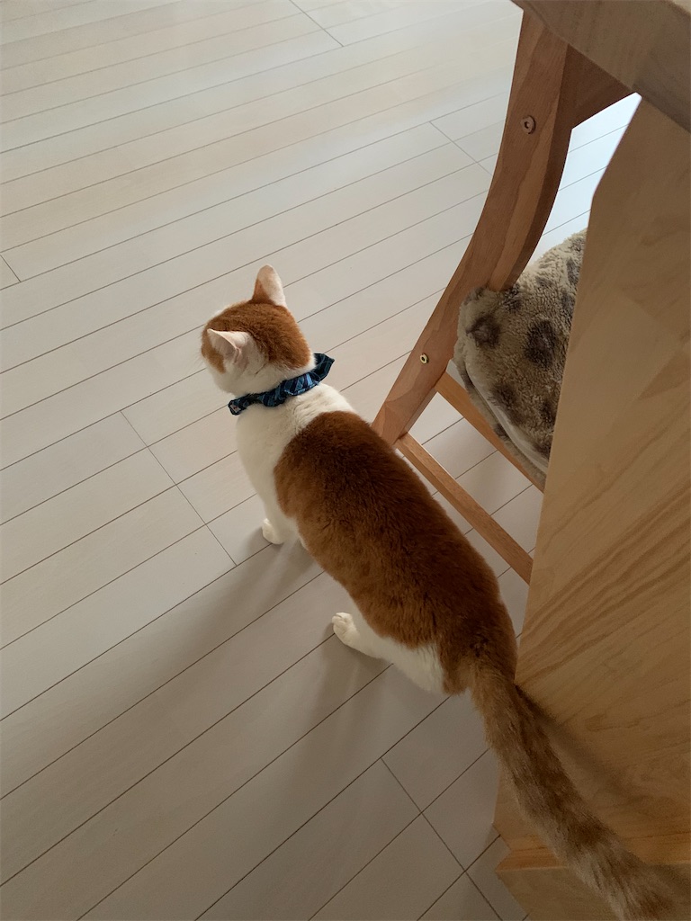 f:id:iwamityu:20220329183718j:image f:id:iwamityu:20220329183718j:image