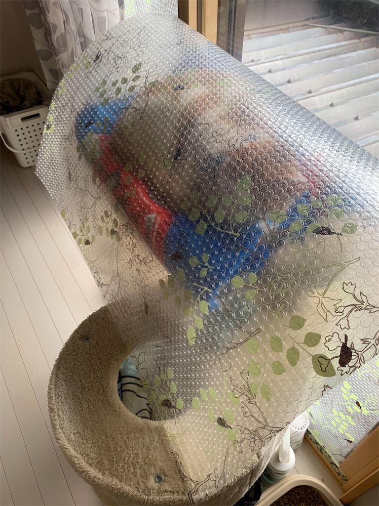 f:id:iwamityu:20220401175627j:image f:id:iwamityu:20220401175627j:image