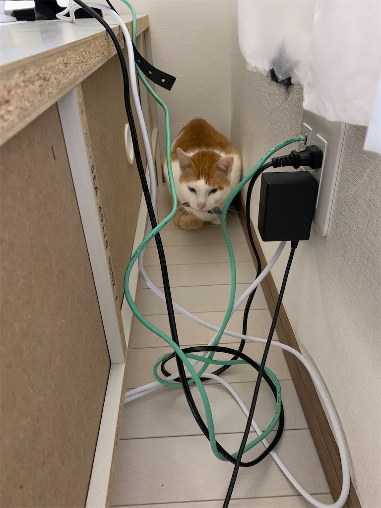 f:id:iwamityu:20220401181529j:image f:id:iwamityu:20220401181529j:image