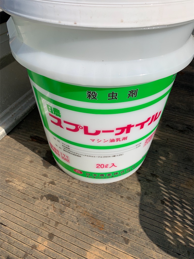 f:id:iwamityu:20220403171229j:image