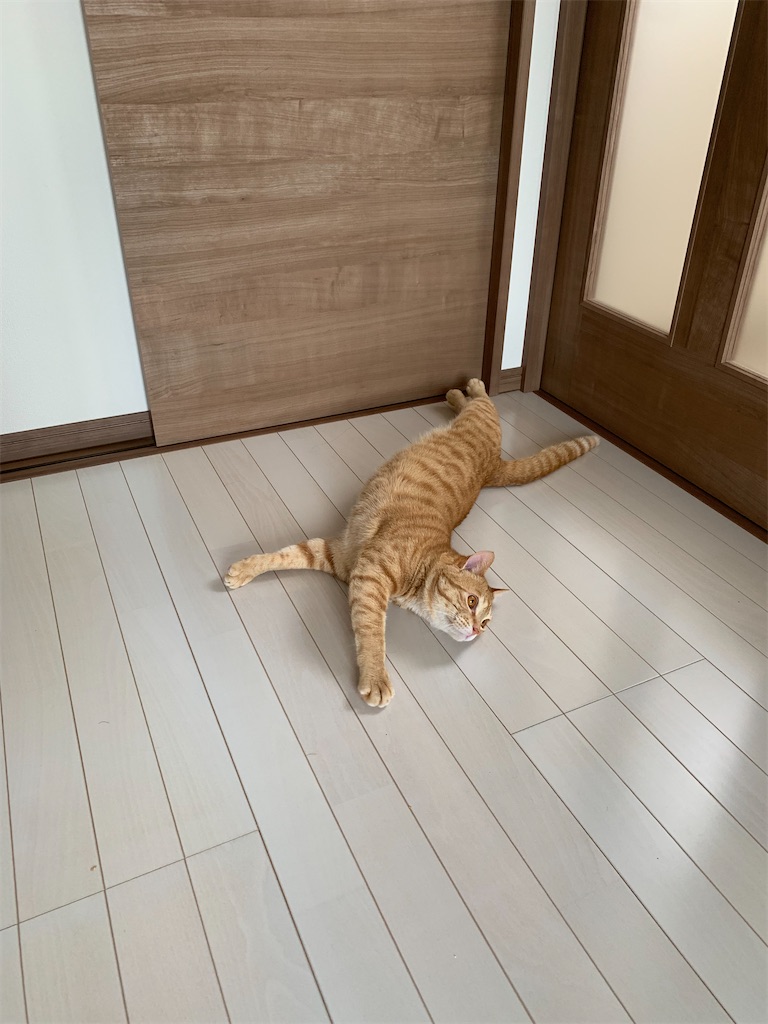 f:id:iwamityu:20220413124251j:image