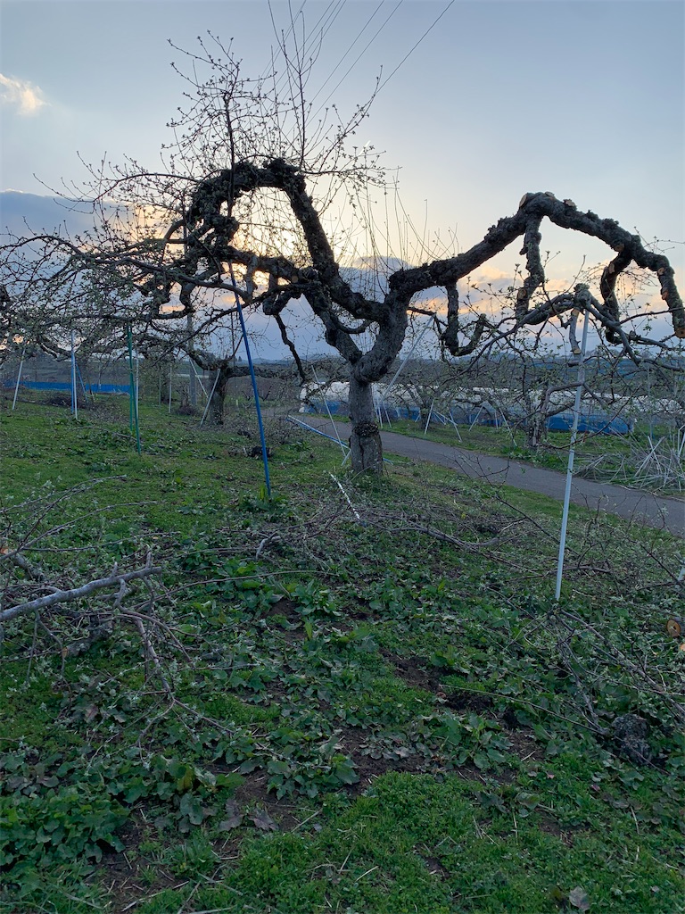 f:id:iwamityu:20220416191829j:image