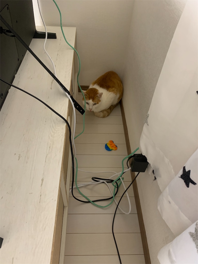 f:id:iwamityu:20220417183802j:image