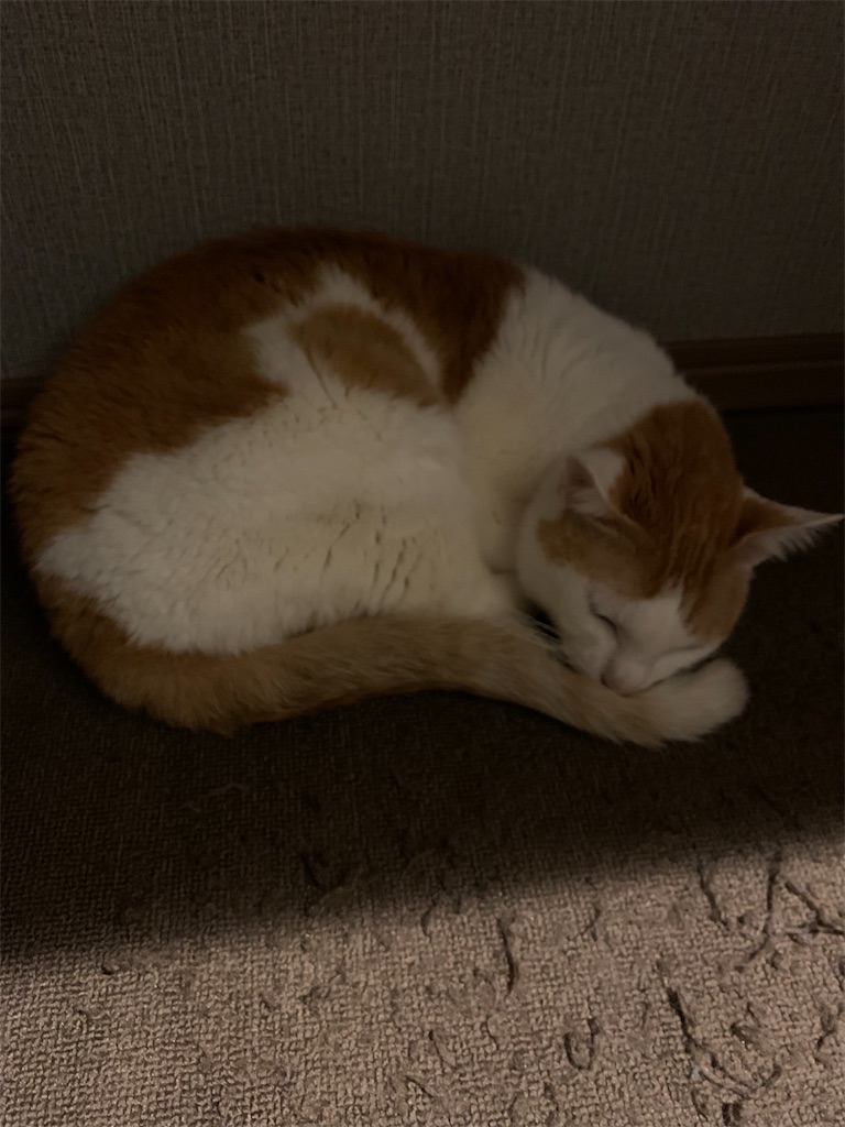 f:id:iwamityu:20220422193617j:image