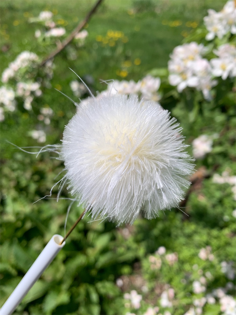 f:id:iwamityu:20220430183645j:image f:id:iwamityu:20220430183645j:image