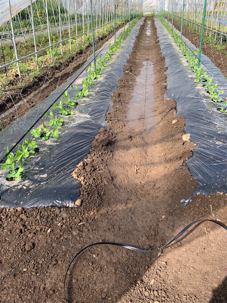 f:id:iwamityu:20220430183648j:image f:id:iwamityu:20220430183648j:image