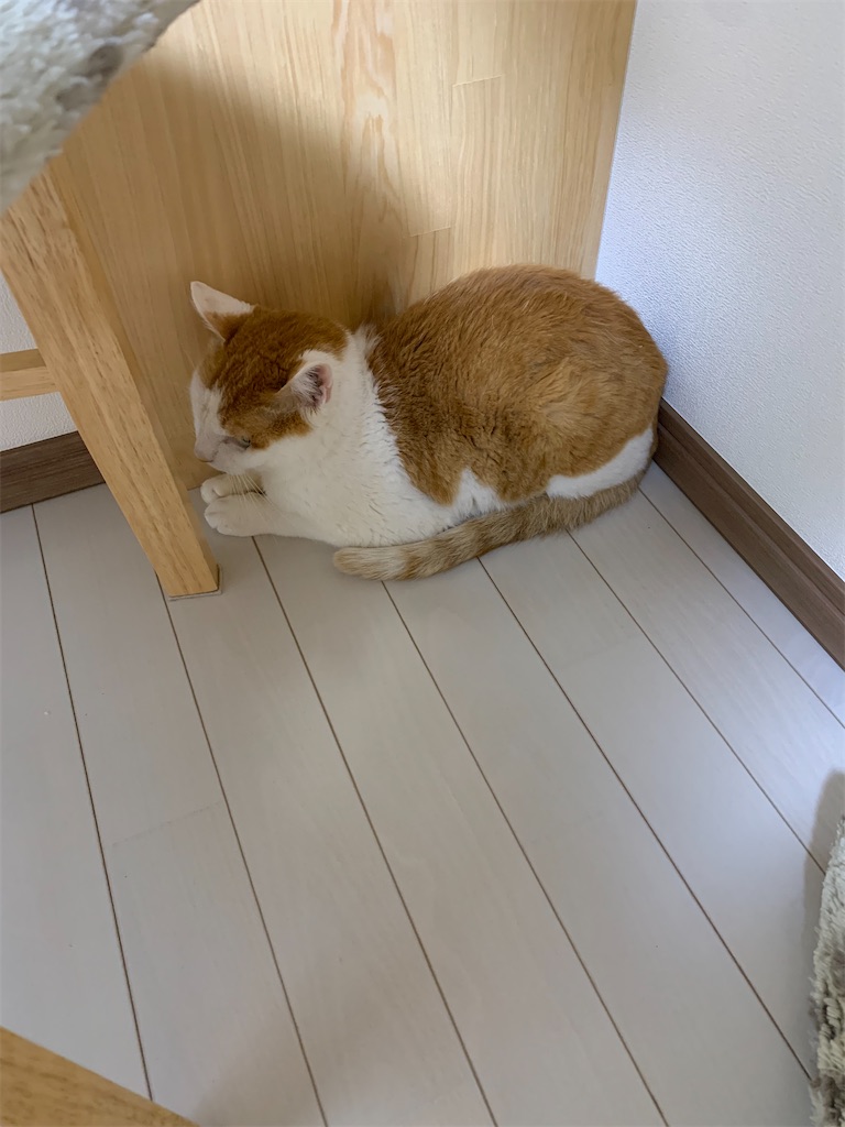 f:id:iwamityu:20220520192551j:image