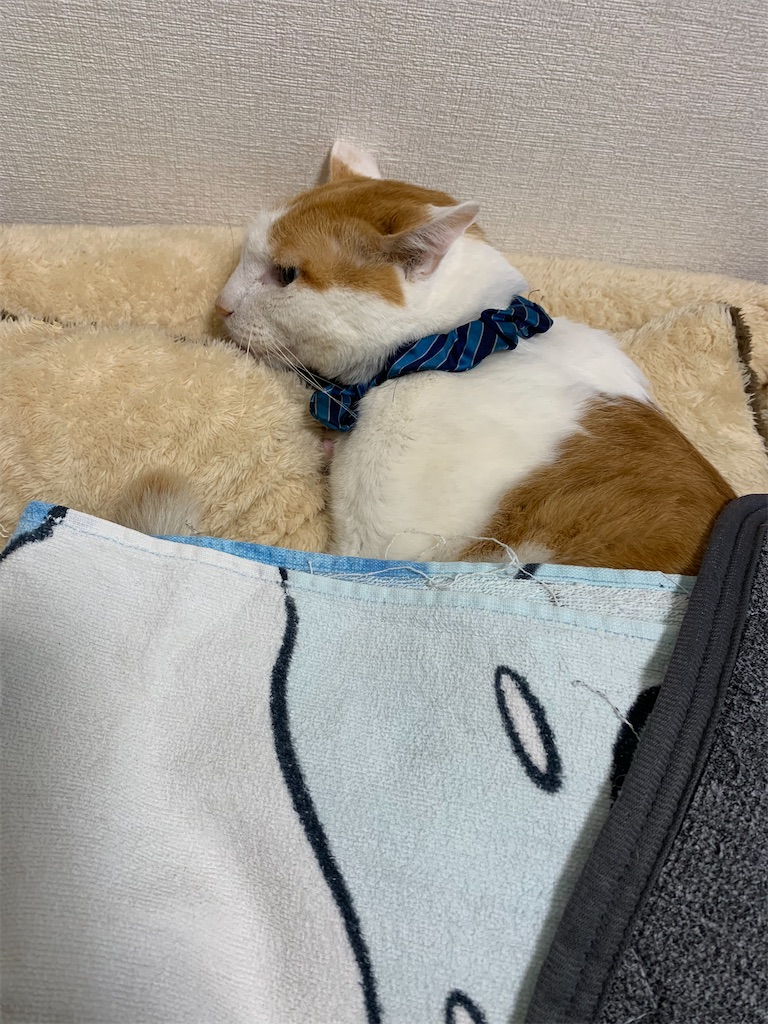 f:id:iwamityu:20220521171556j:image f:id:iwamityu:20220521171556j:image