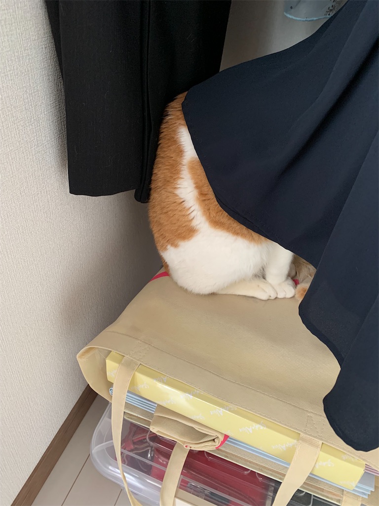 f:id:iwamityu:20220522172220j:image