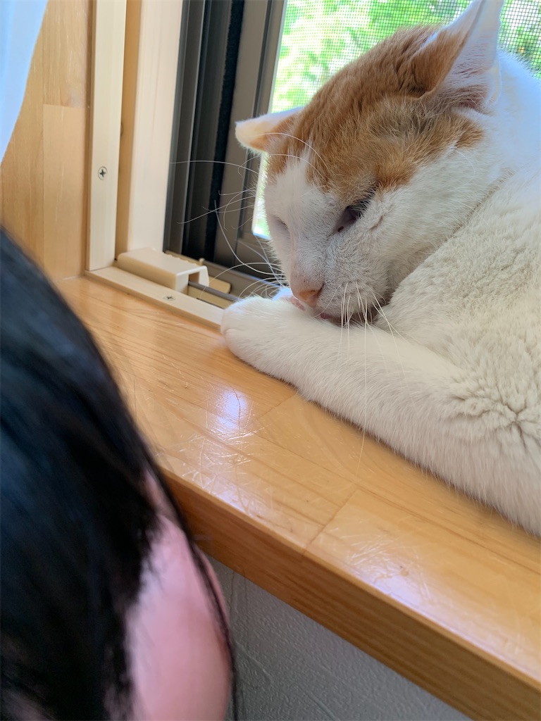 f:id:iwamityu:20220528181622j:image