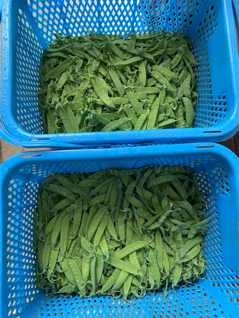 f:id:iwamityu:20220606203836j:image f:id:iwamityu:20220606203836j:image