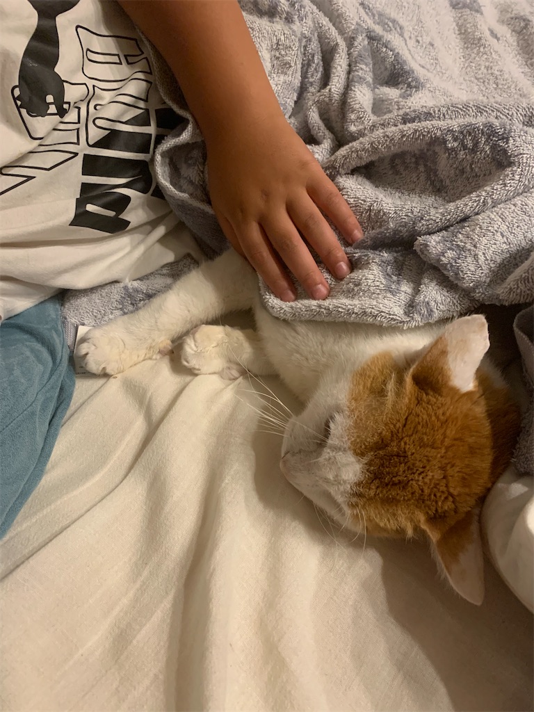 f:id:iwamityu:20220609185106j:image f:id:iwamityu:20220609185106j:image
