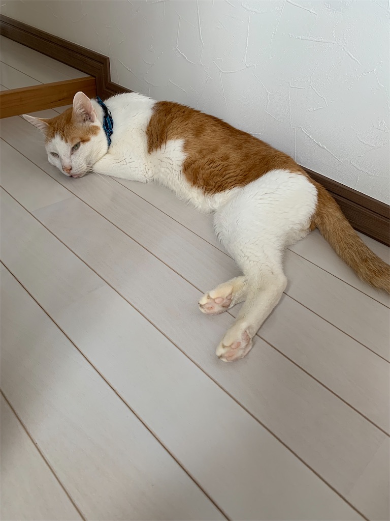 f:id:iwamityu:20220623190858j:image f:id:iwamityu:20220623190858j:image