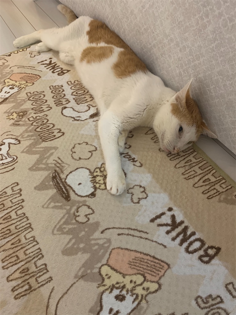 f:id:iwamityu:20220703203418j:image f:id:iwamityu:20220703203418j:image