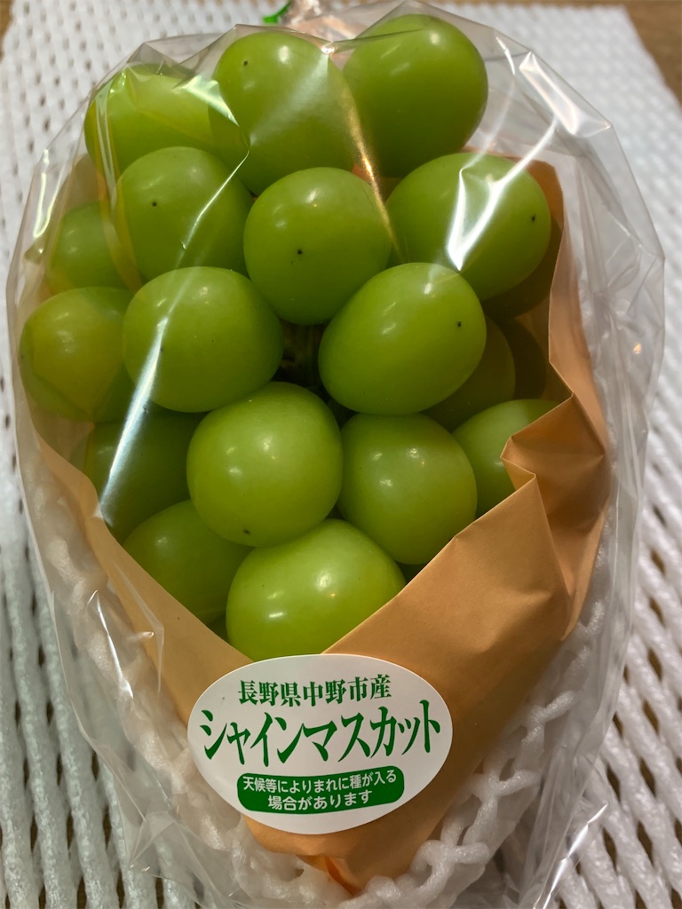 f:id:iwamityu:20221009203709j:image