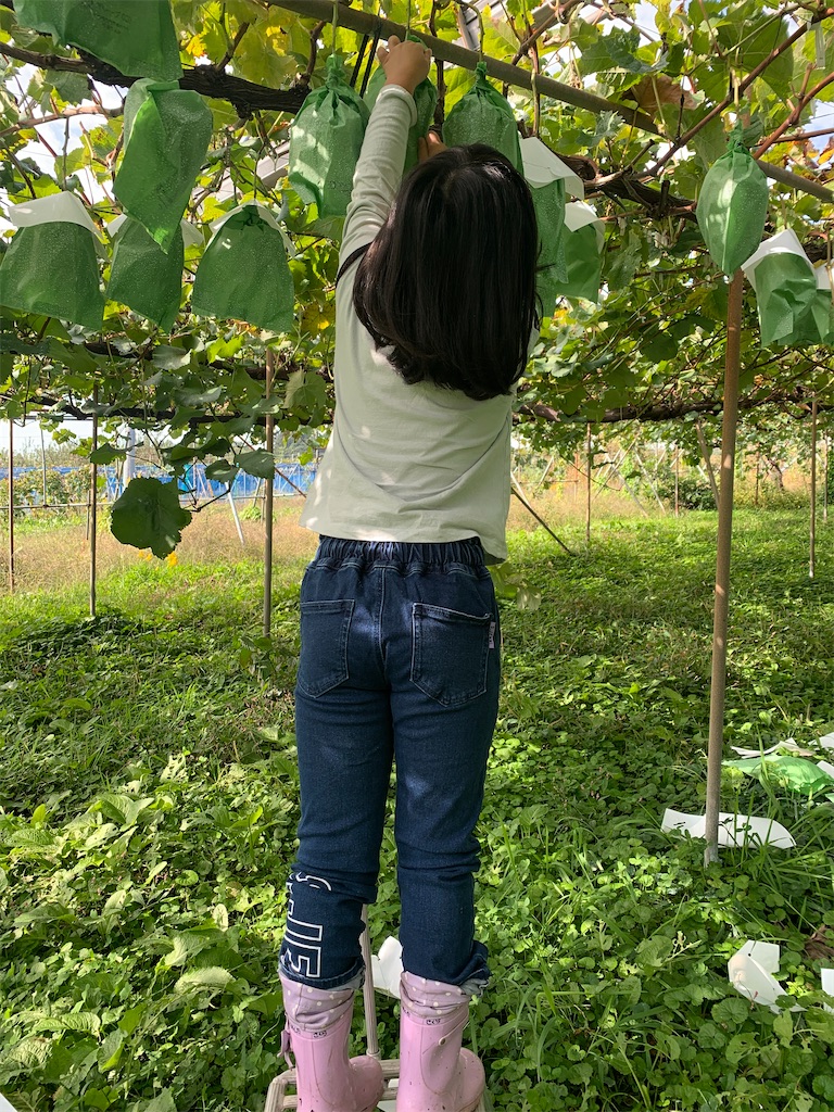 f:id:iwamityu:20221015160821j:image f:id:iwamityu:20221015160821j:image