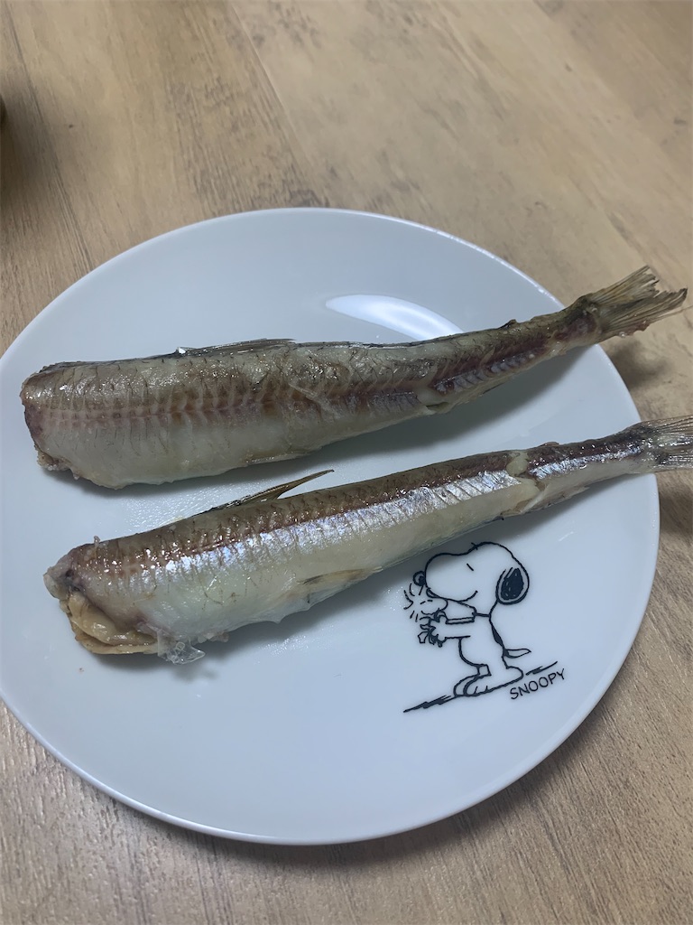 f:id:iwamityu:20221024122437j:image f:id:iwamityu:20221024122437j:image