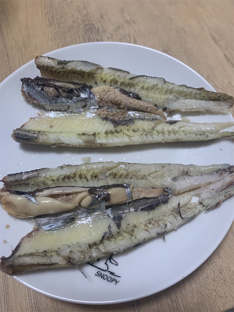 f:id:iwamityu:20221024122449j:image f:id:iwamityu:20221024122449j:image