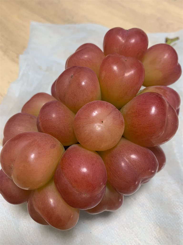 f:id:iwamityu:20221024122523j:image f:id:iwamityu:20221024122523j:image