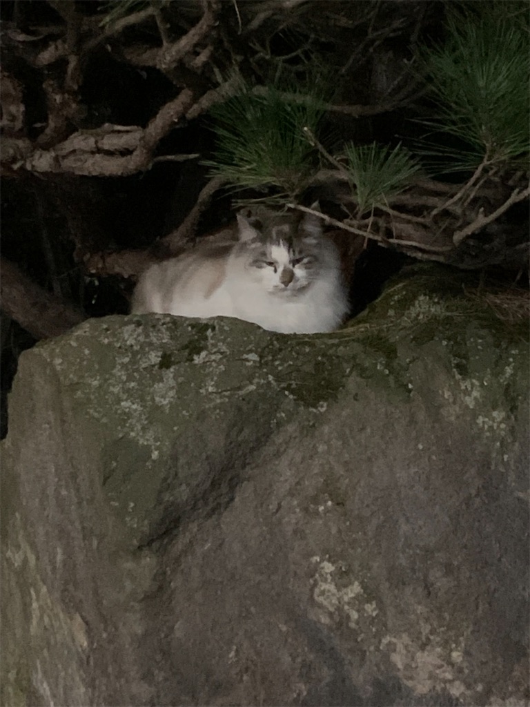 f:id:iwamityu:20221103180142j:image