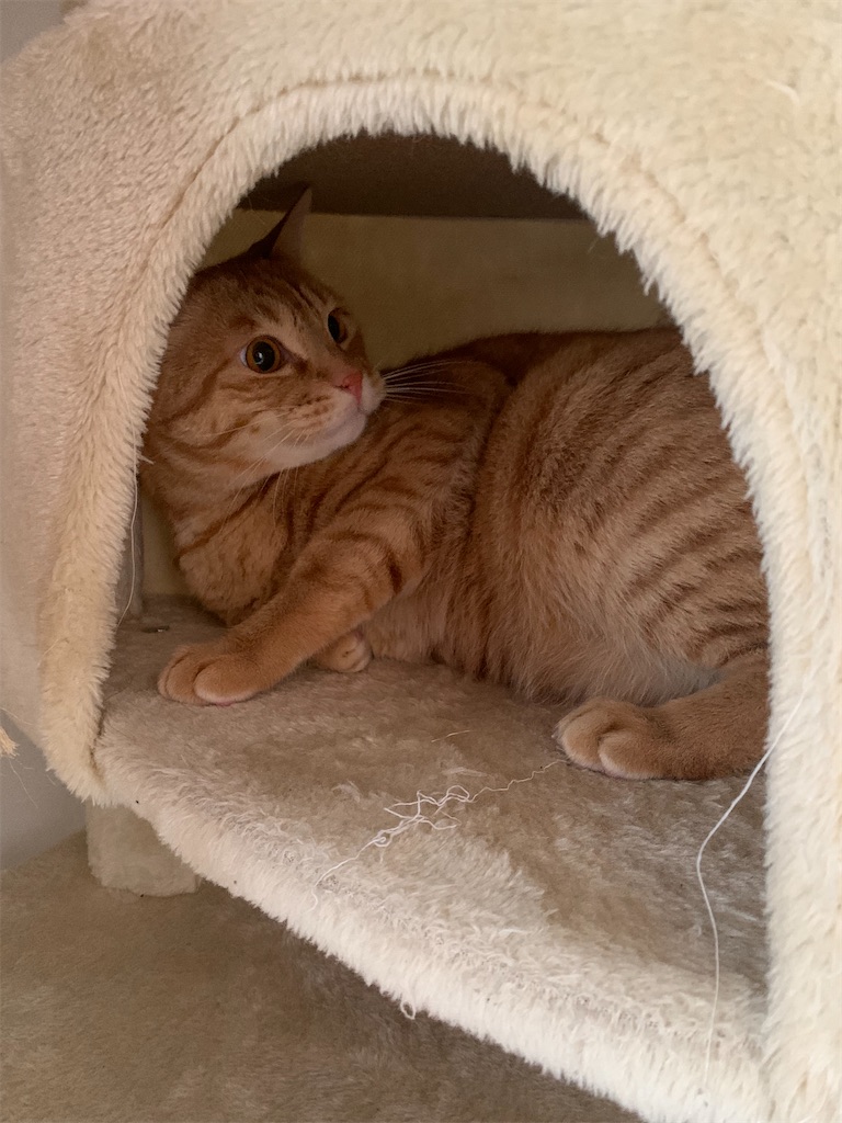 f:id:iwamityu:20230122175059j:image f:id:iwamityu:20230122175059j:image