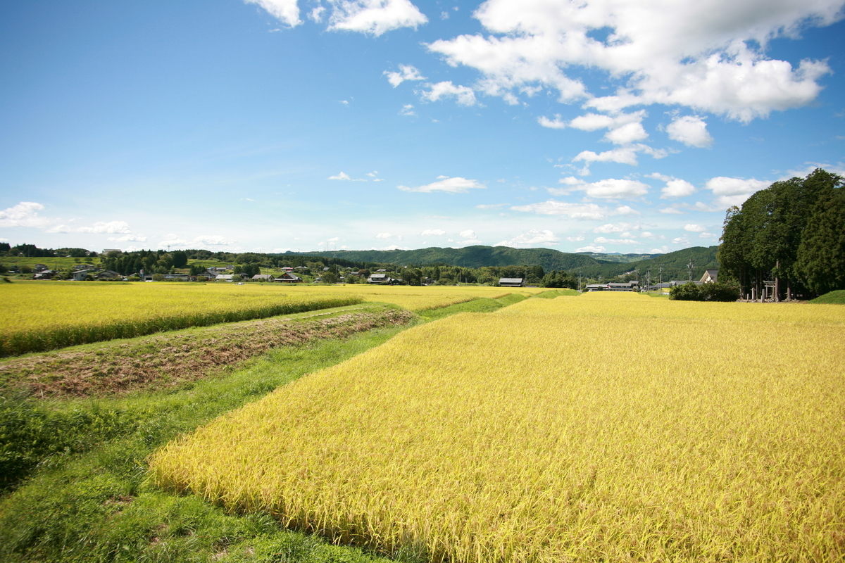 恵那岩村 女城主の里