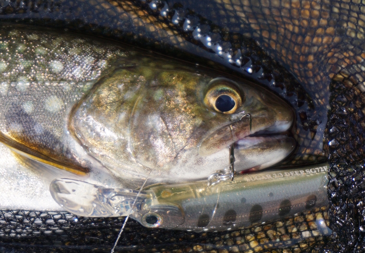 フックのお話 （がまかつのトレブル17とスミスのシュアーフックのW