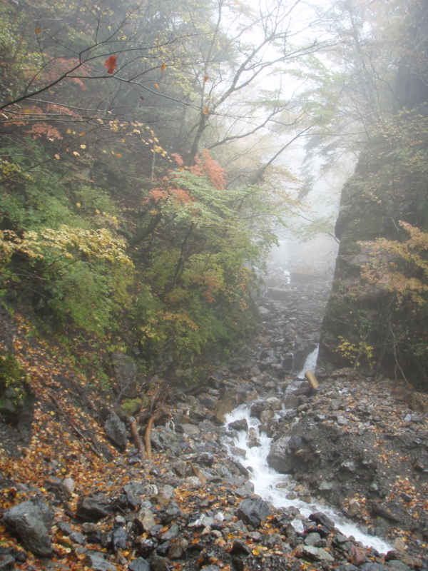 f:id:iwanaturituri:20101031101039j:image