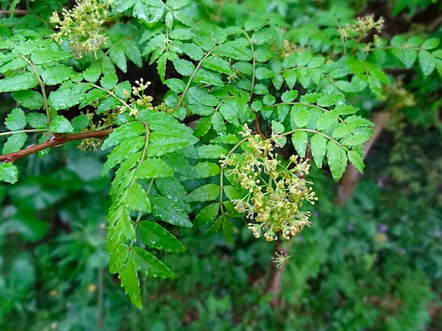 f:id:iwao0716:20130421093041j:image:w400