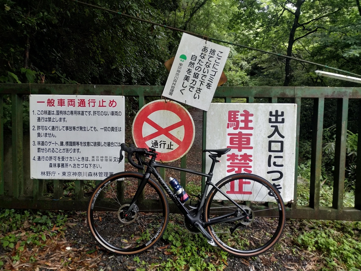 f:id:iwarin:20190623090104j:plain f:id:iwarin:20190623090104j:plain