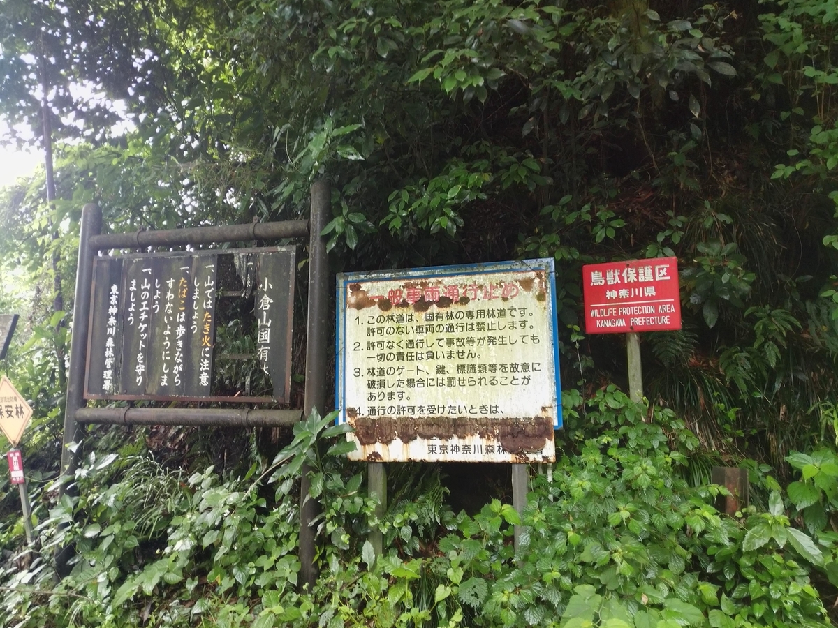 f:id:iwarin:20190623090116j:plain f:id:iwarin:20190623090116j:plain