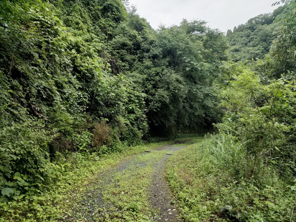 f:id:iwarin:20190623090807j:plain f:id:iwarin:20190623090807j:plain