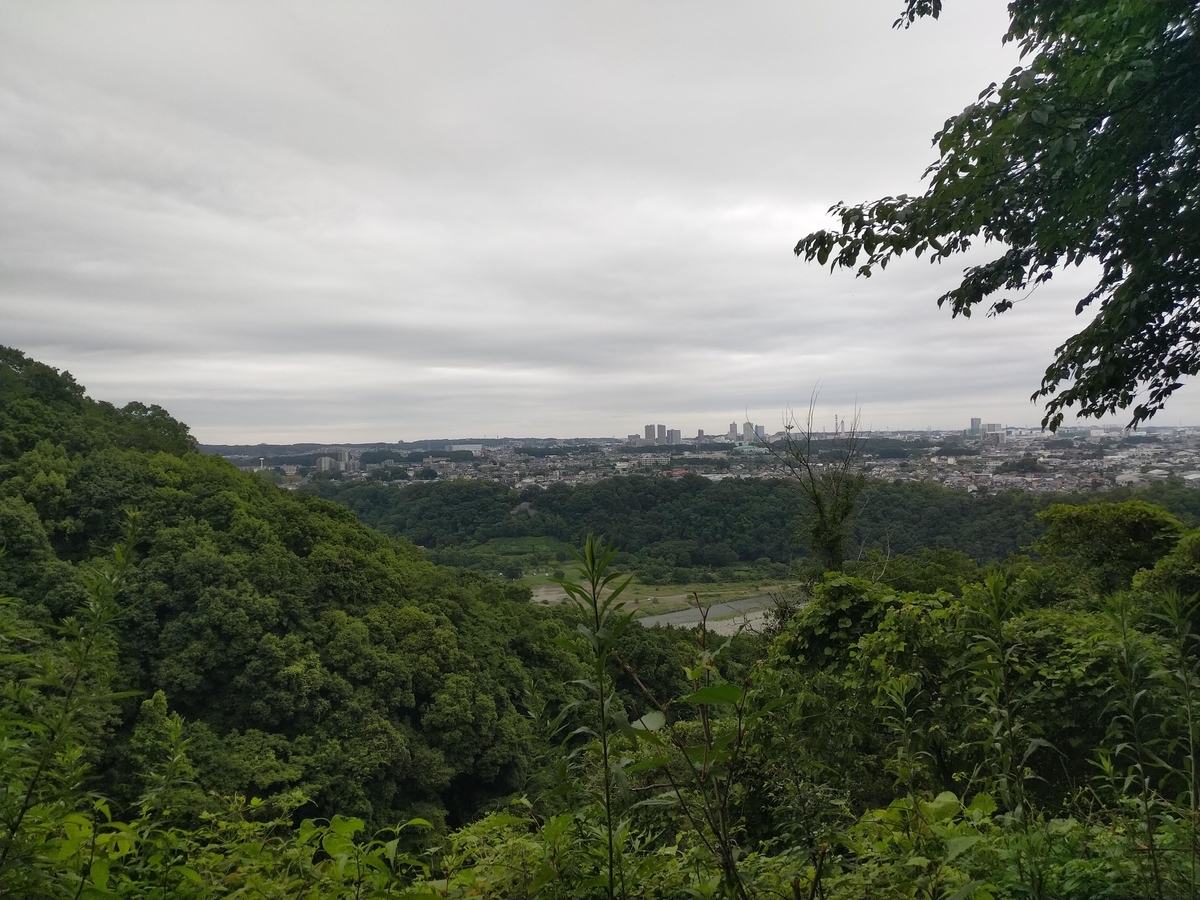 f:id:iwarin:20190623091225j:plain f:id:iwarin:20190623091225j:plain