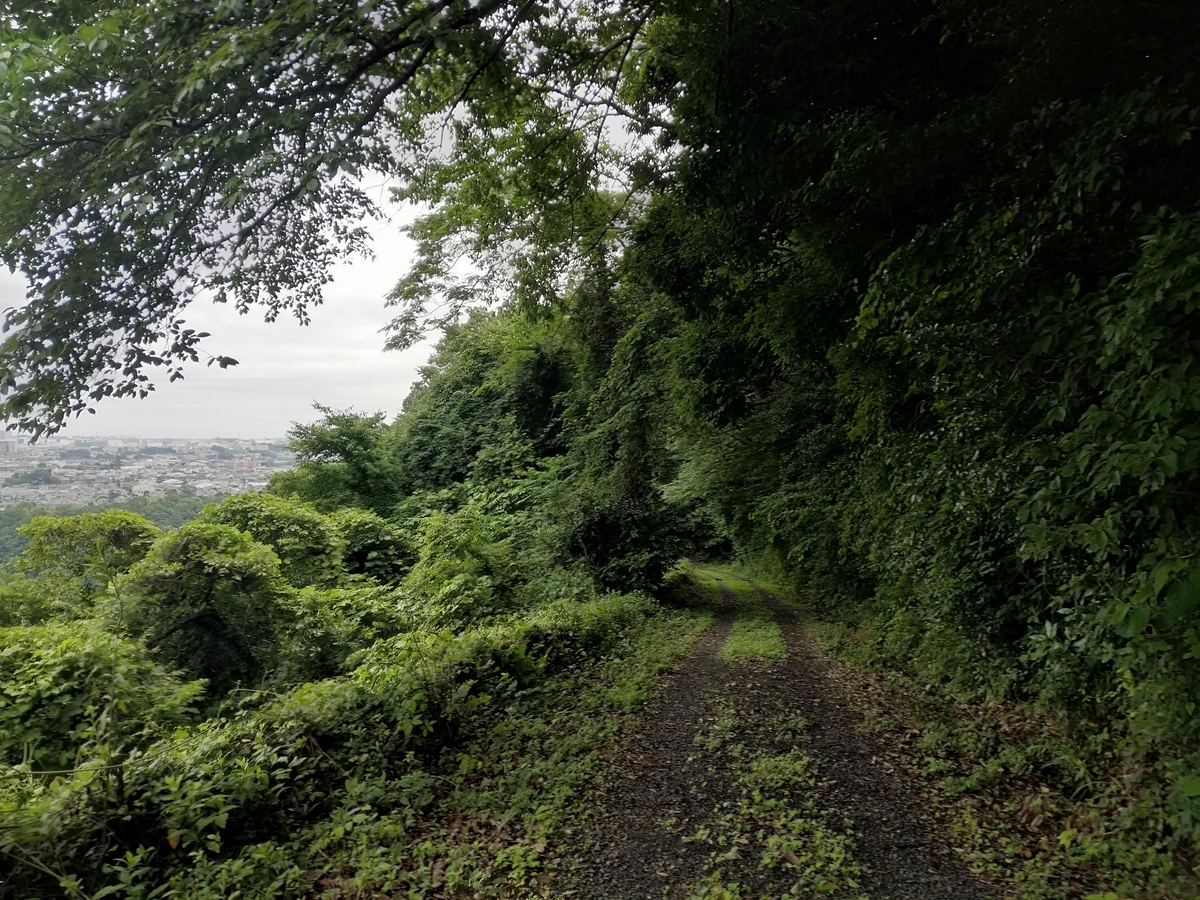 f:id:iwarin:20190623091325j:plain f:id:iwarin:20190623091325j:plain