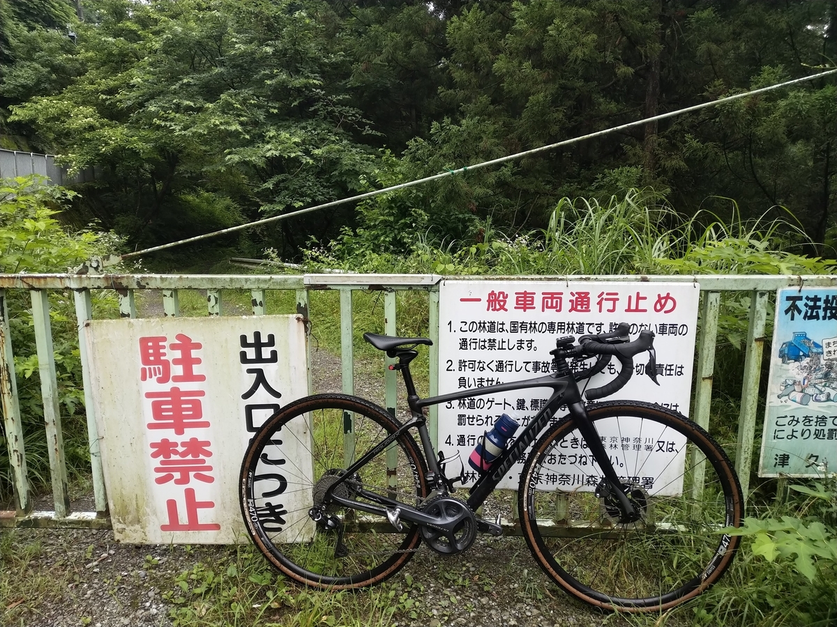 f:id:iwarin:20190623100758j:plain f:id:iwarin:20190623100758j:plain