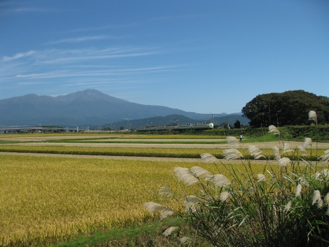 鳥海山と田んぼ