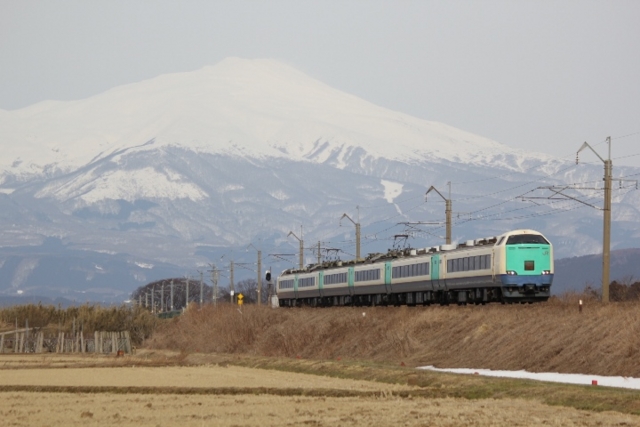 485系いなほ