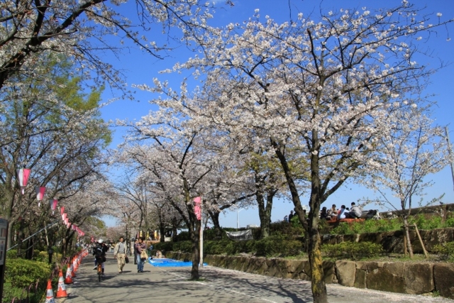隅田公園