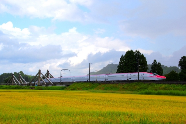 f:id:iwasan1go:20150904142321j:image