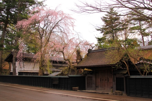 f:id:iwasan1go:20160422064928j:image