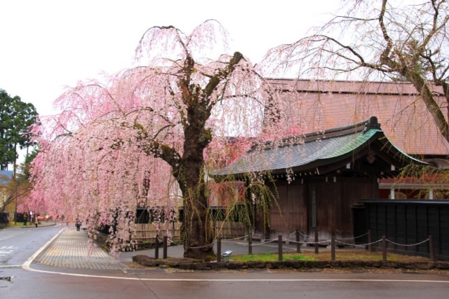 f:id:iwasan1go:20160422065245j:image